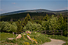 Brockenblick von Torfhaus